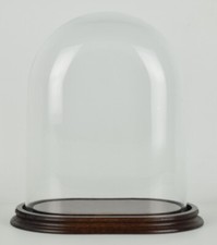 Campana In Vetro Ovale Di