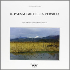 Bellato,Franco. - Il paesaggio