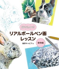 Draw-In Stile Real a Sfera