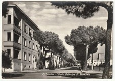 SABAUDIA - LATINA - VIALE PRINCIPE DI PIEMONTE - VIAGG. 1957 -91817-