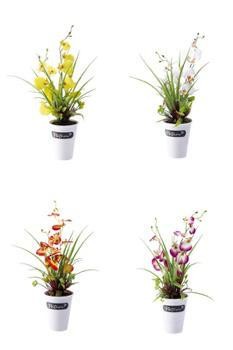 Vaso con orchidea 13f - vaso, ass