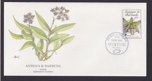Antigua barbuda piccole - e,