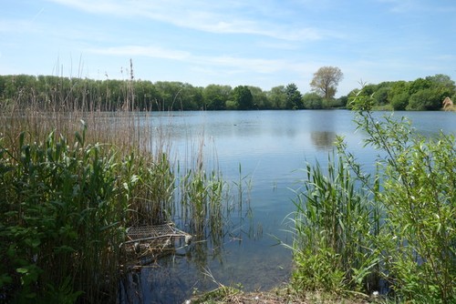 Photo mead lake egham - mead, not