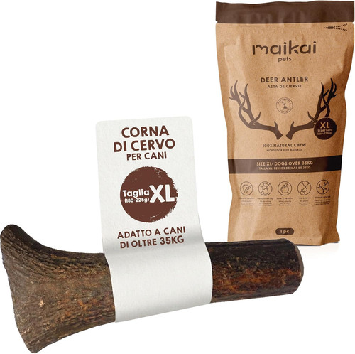 Corno cervo per cani grandi - corno,