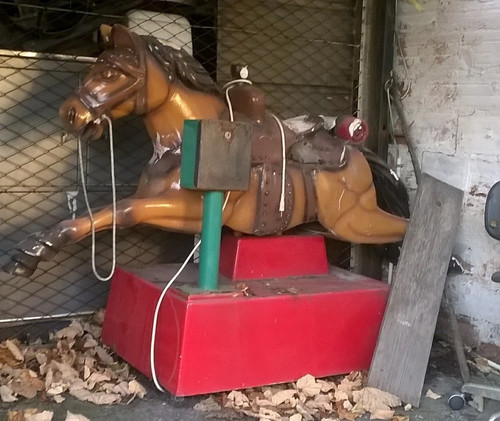 Cavallo moneta gettoniera - moneta,