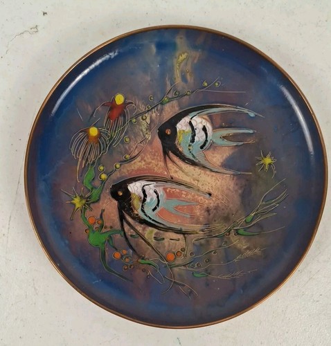 Sagitta olanda angelo pesce - angelo,