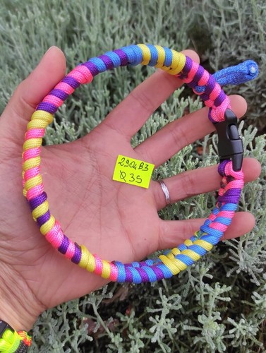 Collare cane paracord - collare,