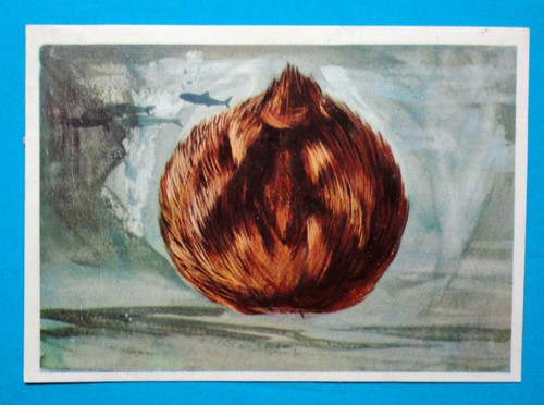 Figurina panini animali - figurina, di