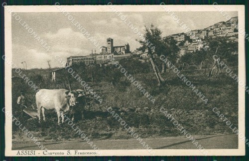 Perugia assisi carro - carro, buoi