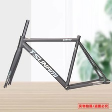 Telaio Bici Ingranaggio Fisso