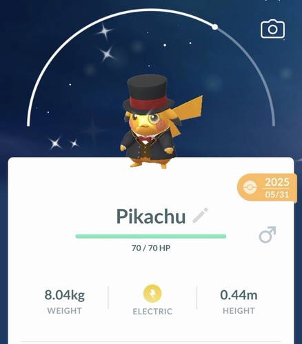 Costume pokemon pikachu - costume,