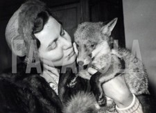 Foto Vintage Animali Regno