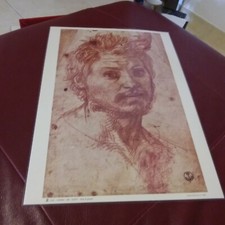 STAMPA ANDREA DEL SARTO TESTA DI EDIZIONI D' ARTE NOVA LUX FIRENZE CM.50 X CM.30