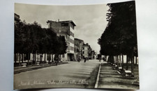 Novi di Modena- Viale Martiri della Libertà