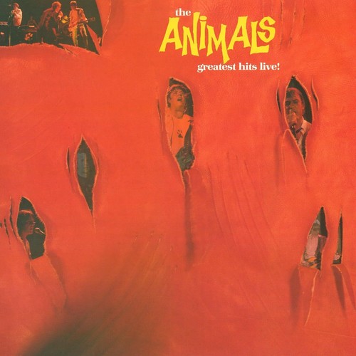 Vinile nuovo animals - vinile,