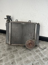 Radiatore Con Elettroventola Kymco Dink 200 dal 2007 al 2017
