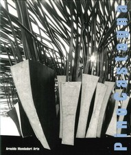 Pino Castagna. Sculture