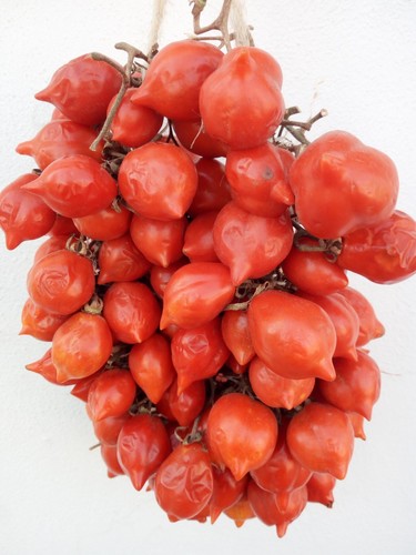 Pomodoro spunzillo - pomodoro,