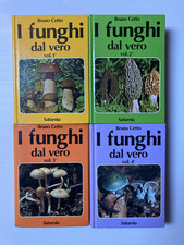 I FUNGHI DAL VERO SEQUENZA 1-4