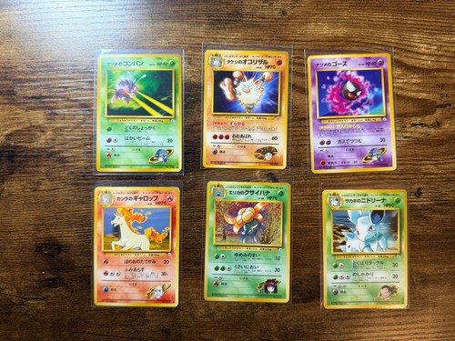 Pokemon eroi palestra - eroi,