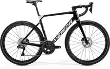Bici corsa merida scultura - da,