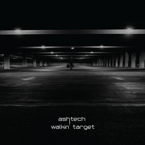 Ashtech walkin target - walkin', (vinyl