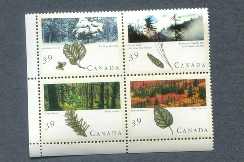 Canada 1990 coast forest - 1990,