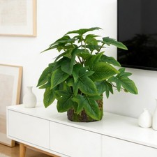 Pianta bonsai artificiale con
