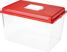 Contenitore Plastica Piccoli