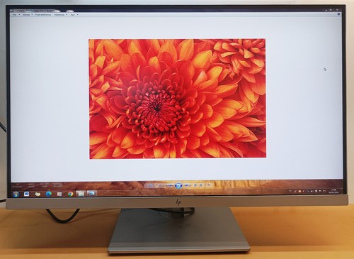 Elite display e273q monitor - elite,