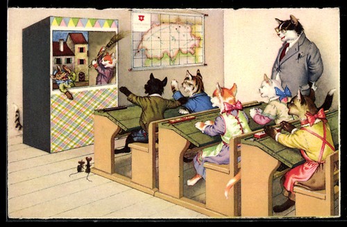 Cartolina gatti sui - i,