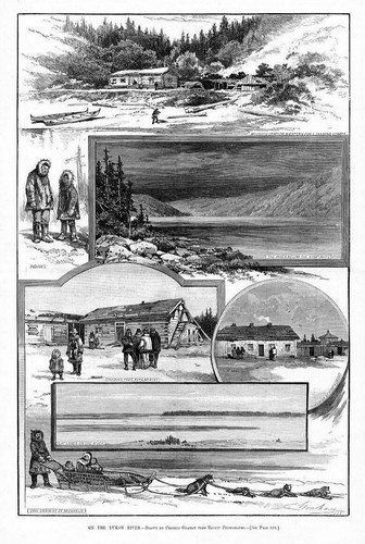 Yukon river dog - yukon,