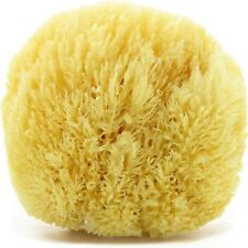 Spugna di mare Naturale del