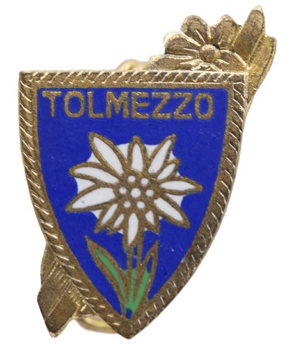 Spilla tolmezzo stella alpina - spilla,
