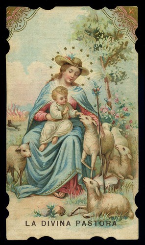 Santino cromo holy card - santino, cromo-holy