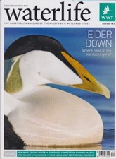 Wildfowl wetlands - wildfowl, &