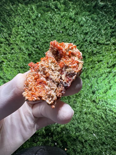 Pazzo vanadinite con - pazzo!,