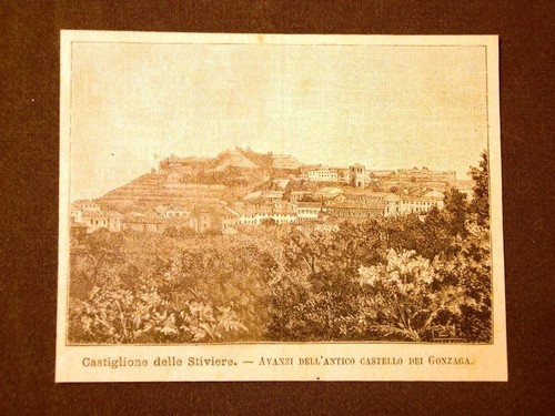 Incisione del 1891 castiglione - del,