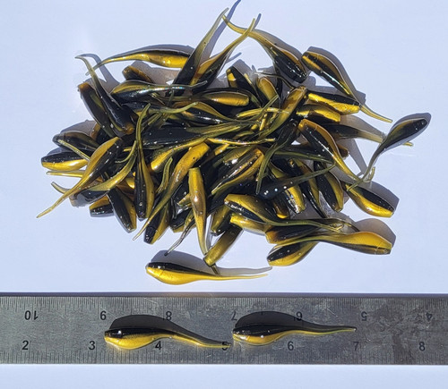 Shad fry minnow - minnow, lunghezza