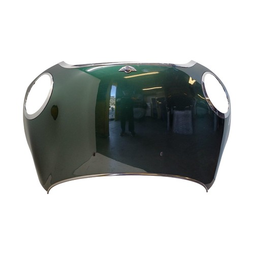 Cofano anteriore per mini - anteriore,