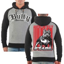 Felpa con cappuccio American