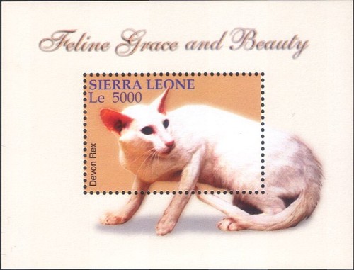Sierra leone 2004 - leone,
