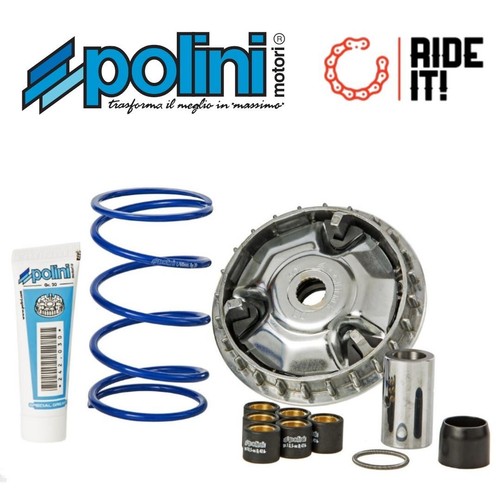 Variatore polini 241 - variatore, maxi