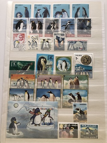 Pagina album pinguini - pagina,
