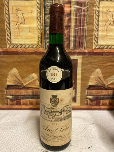 Vino 1971 pinot nero collavini - vino,