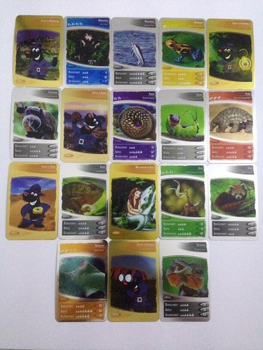 Netto oceania 9 - -,
