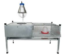 PULCINAIA REAL GABBIA PER PULCINI POLLI  | BOROTTO | DOPO L'INCUBATRICE ???