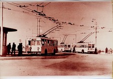 FILOVIE Venezia-Mestre-Treviso - Filobus Fiat 66 posti 1