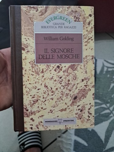 Signore delle mosche - signore,