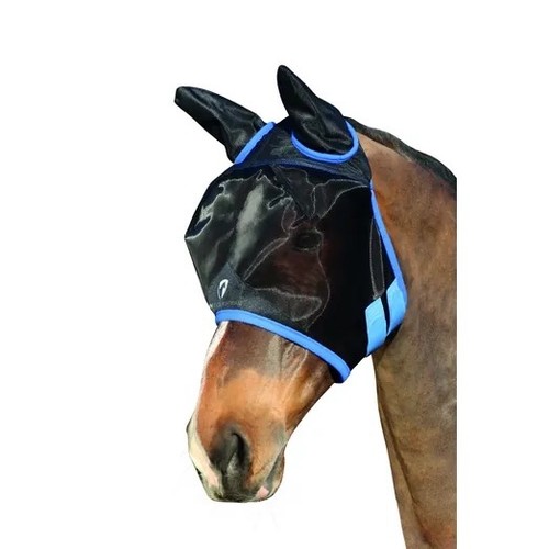 Equestrian horse pony - hy,